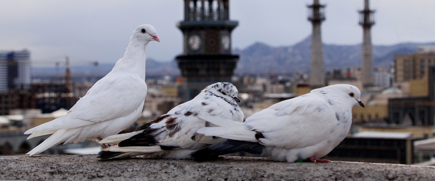 کرونا